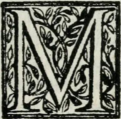 An illustration from Descrizione delle pompe e delle feste fatte nella venuta alla città di Firenze del sereniss. don Vincenzio Gonzaga, principe di Mantoua e del Monferrato : per la serenissima d. Leonora de' Medici, principessa di Toscana, sua consorte, 1584, leaf 22