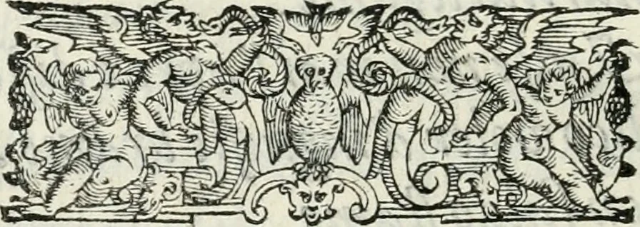 An illustration from Descrizione delle pompe e delle feste fatte nella venuta alla città di Firenze del sereniss. don Vincenzio Gonzaga, principe di Mantoua e del Monferrato : per la serenissima d. Leonora de' Medici, principessa di Toscana, sua consorte, 1584, leaf 35