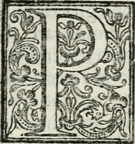 An illustration from Descrizione delle pompe e delle feste fatte nella venuta alla città di Firenze del sereniss. don Vincenzio Gonzaga, principe di Mantoua e del Monferrato : per la serenissima d. Leonora de' Medici, principessa di Toscana, sua consorte, 1584, leaf 36