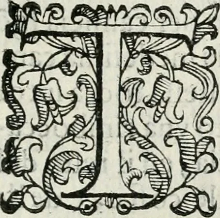 An illustration from Descrizione delle pompe e delle feste fatte nella venuta alla città di Firenze del sereniss. don Vincenzio Gonzaga, principe di Mantoua e del Monferrato : per la serenissima d. Leonora de' Medici, principessa di Toscana, sua consorte, 1584, leaf 42