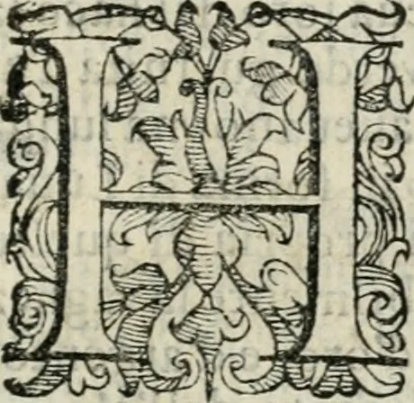 An illustration from Descrizione delle pompe e delle feste fatte nella venuta alla città di Firenze del sereniss. don Vincenzio Gonzaga, principe di Mantoua e del Monferrato : per la serenissima d. Leonora de' Medici, principessa di Toscana, sua consorte, 1584, leaf 54