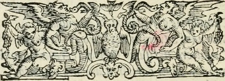 An illustration from Descrizione delle pompe e delle feste fatte nella venuta alla città di Firenze del sereniss. don Vincenzio Gonzaga, principe di Mantoua e del Monferrato : per la serenissima d. Leonora de' Medici, principessa di Toscana, sua consorte, 1584, leaf 75