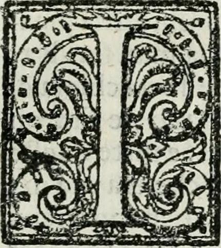 An illustration from Descrizione delle pompe e delle feste fatte nella venuta alla città di Firenze del sereniss. don Vincenzio Gonzaga, principe di Mantoua e del Monferrato : per la serenissima d. Leonora de' Medici, principessa di Toscana, sua consorte, 1584, leaf 8
