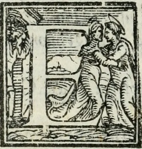An illustration from Descrizione dell'entrata della sereniss. reina Giouanna d'Austria et dell'apparato, fatto in Firenze nella venuta, & per le felicissime nozze di S. Altezza et dell'illustrissimo, & eccellentiss. s. Don Francesco de Medici, prencipe di Fiorenza, & di Siena, 1566, leaf 113