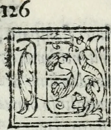 An illustration from Descrizione dell'entrata della sereniss. reina Giouanna d'Austria et dell'apparato, fatto in Firenze nella venuta, & per le felicissime nozze di S. Altezza et dell'illustrissimo, & eccellentiss. s. Don Francesco de Medici, prencipe di Fiorenza, & di Siena, 1566, leaf 147