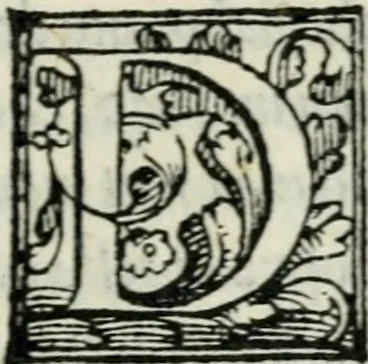 An illustration from Descrizione dell'entrata della sereniss. reina Giouanna d'Austria et dell'apparato, fatto in Firenze nella venuta, & per le felicissime nozze di S. Altezza et dell'illustrissimo, & eccellentiss. s. Don Francesco de Medici, prencipe di Fiorenza, & di Siena, 1566, leaf 22