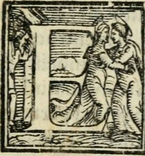 An illustration from Descrizione dell'entrata della sereniss. reina Giouanna d'Austria et dell'apparato, fatto in Firenze nella venuta, & per le felicissime nozze di S. Altezza et dell'illustrissimo, & eccellentiss. s. Don Francesco de Medici, prencipe di Fiorenza, & di Siena, 1566, leaf 8
