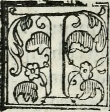 An illustration from Descrizione dell'entrata della sereniss. reina Giouanna d'Austria et dell'apparato, fatto in Firenze nella venuta, & per le felicissime nozze di S. Altezza et dell'illustrissimo, & eccellentiss. s. Don Francesco de Medici, prencipe di Fiorenza, & di Siena, 1566, leaf 81