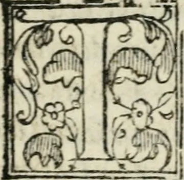 An illustration from Descrizione dell'entrata della sereniss. reina Giouanna d'Austria et dell'apparato, fatto in Firenze nella venuta, & per le felicissime nozze di S. Altezza et dell'illustrissimo, & eccellentiss. s. Don Francesco de Medici, prencipe di Fiorenza, & di Siena, 1566, leaf 98