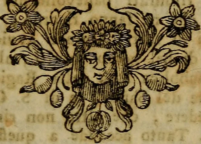 An illustration from Descrizione delle pitture, sculture, ed architetture di Padova : con alcune osservazioni intorno ad esse, ed altre curiose notizie, 1780, leaf 12