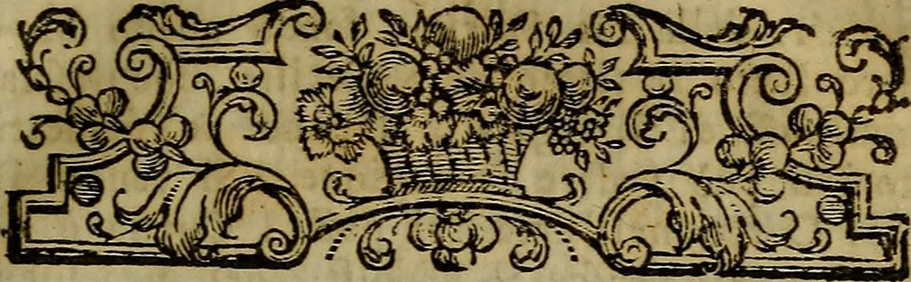 An illustration from Descrizione delle pitture, sculture, ed architetture di Padova : con alcune osservazioni intorno ad esse, ed altre curiose notizie, 1780, leaf 30