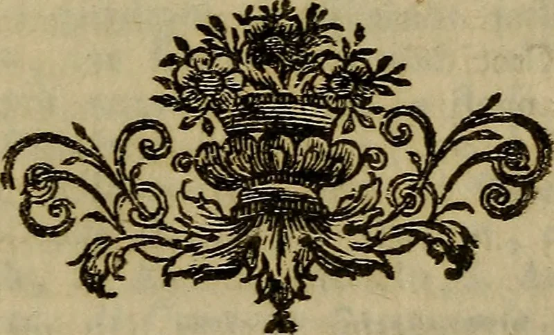 An illustration from Descrizione delle pitture, sculture, ed architetture di Padova : con alcune osservazioni intorno ad esse, ed altre curiose notizie, 1780, leaf 308
