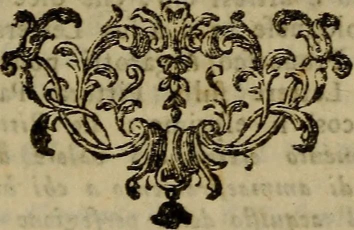 An illustration from Descrizione delle pitture, sculture, ed architetture di Padova : con alcune osservazioni intorno ad esse, ed altre curiose notizie, 1780, leaf 358