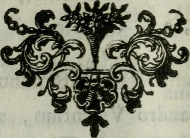 An illustration from Descrizione delle architetture, pitture e scolture di Vicenza, con alcune osservazioni, 1779, leaf 165