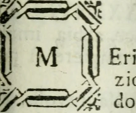 An illustration from Descrizione delle architetture, pitture e scolture di Vicenza, con alcune osservazioni, 1779, leaf 226