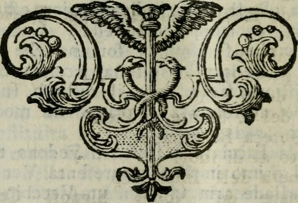 An illustration from Descrizione delle architetture, pitture e scolture di Vicenza, con alcune osservazioni, 1779, leaf 305