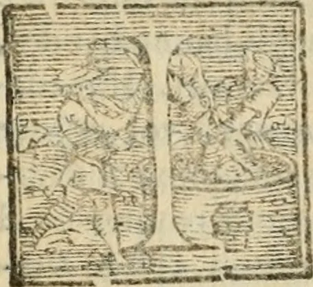 An illustration from Descrizione del magnificentiss. apparato, e de' maravigliosi intermedi : fatti per la commedia rappresentata in Firenze nelle felicissime nozze degl'illustrissimi ed eccellentissmi signori il signor don Cesare d'Este, e la signora donna Virginia Medici, 1586, leaf 64