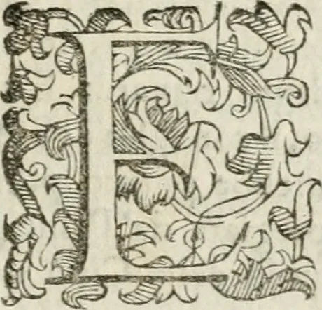 An illustration from Descrizione del magnificentiss. apparato, e de' maravigliosi intermedi : fatti per la commedia rappresentata in Firenze nelle felicissime nozze degl'illustrissimi ed eccellentissmi signori il signor don Cesare d'Este, e la signora donna Virginia Medici, 1586, leaf 8