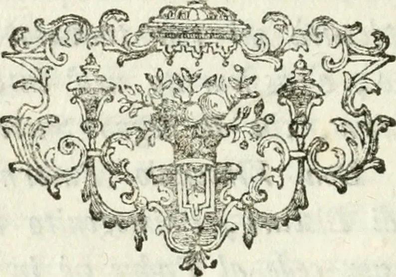 An illustration from Descrizione del museo d'antiquaria e del gabinetto d'istoria naturale del signor principe di Biscari, 1787, leaf 11