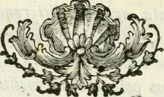 An illustration from Descrizione del museo d'antiquaria e del gabinetto d'istoria naturale del signor principe di Biscari, 1787, leaf 25