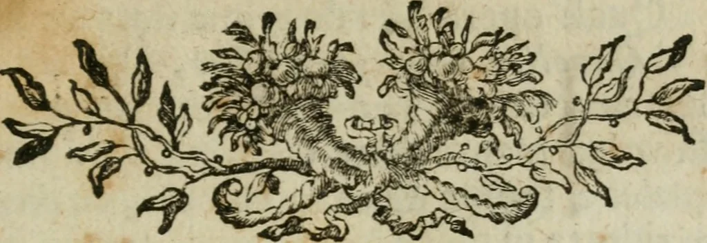 An illustration from Descrizione del Palazzo Apostolico Vaticano, 1750, leaf 44