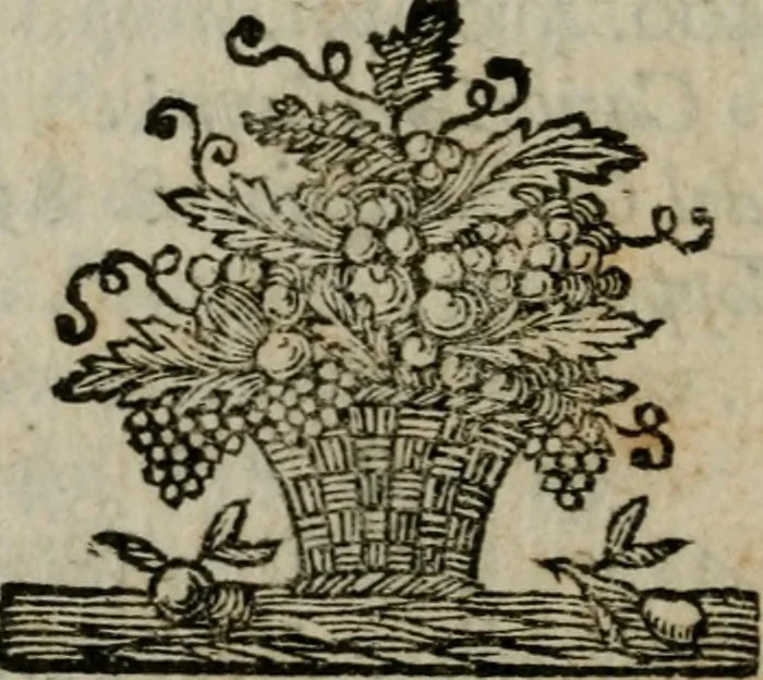 An illustration from Descrizione del Palazzo Apostolico Vaticano, 1750, leaf 565