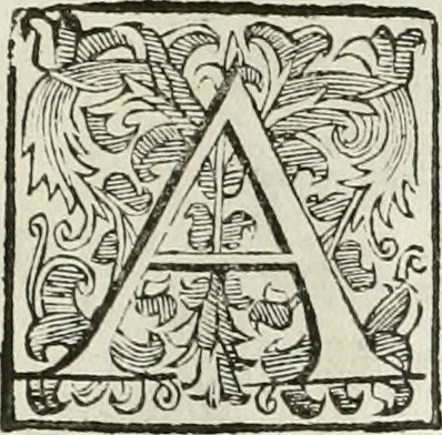 An illustration from Descrizione del regale apparato per le nozze della serenissima Madama Cristina di Loreno, moglie del serenissimo don Ferdinando Medici, III. granduca di Toscana, 1589, leaf 126