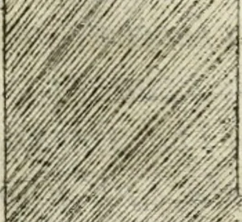 An illustration from Descrizione del regale apparato per le nozze della serenissima Madama Cristina di Loreno, moglie del serenissimo don Ferdinando Medici, III. granduca di Toscana, 1589, leaf 127