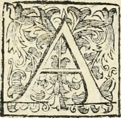 An illustration from Descrizione del regale apparato per le nozze della serenissima Madama Cristina di Loreno, moglie del serenissimo don Ferdinando Medici, III. granduca di Toscana, 1589, leaf 13