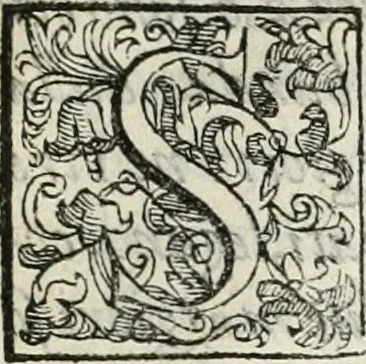 An illustration from Descrizione del regale apparato per le nozze della serenissima Madama Cristina di Loreno, moglie del serenissimo don Ferdinando Medici, III. granduca di Toscana, 1589, leaf 146