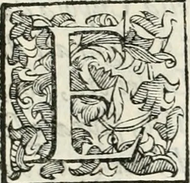An illustration from Descrizione del regale apparato per le nozze della serenissima Madama Cristina di Loreno, moglie del serenissimo don Ferdinando Medici, III. granduca di Toscana, 1589, leaf 174