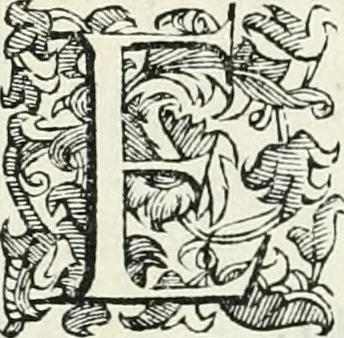 An illustration from Descrizione del regale apparato per le nozze della serenissima Madama Cristina di Loreno, moglie del serenissimo don Ferdinando Medici, III. granduca di Toscana, 1589, leaf 213