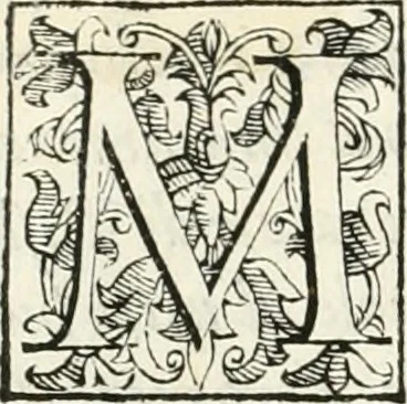 An illustration from Descrizione del regale apparato per le nozze della serenissima Madama Cristina di Loreno, moglie del serenissimo don Ferdinando Medici, III. granduca di Toscana, 1589, leaf 29