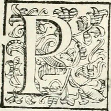 An illustration from Descrizione del regale apparato per le nozze della serenissima Madama Cristina di Loreno, moglie del serenissimo don Ferdinando Medici, III. granduca di Toscana, 1589, leaf 48