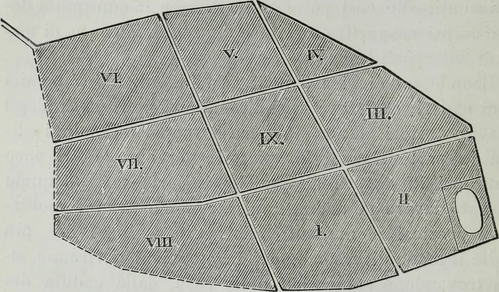An illustration from Descrizione di Pompeii, 1875, leaf 31