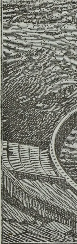 An illustration from Descrizione di Pompeii, 1875, leaf 76