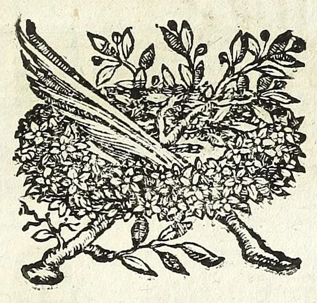 An illustration from Descrizione di Roma antica : formata nuouamente con le autorità di Bartolomeo Marliani, Onofrio Panuinio, Alessandro Donati, Faminio Nardini, e d'altri celebri scrittori antichi, & antiquarij moderni, accennati nella lettera al lettore. Nella quale si discorre degl' archi, aquedotti, basiliche, circhi, colonne, curie, fori, librerie, naumachie, obelischi, palazzi, pitture, ponti, statue, teatri, anfiteatri, tempij, terme, vie, & altri famosi edificij romani. Accresciuta di moltissime figure in rame, di varie medaglie, e di curiose notizie istoriche, 1697, leaf 145