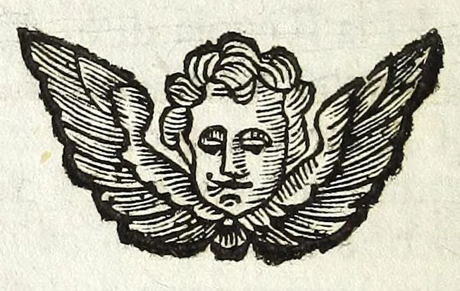 An illustration from Descrizione di Roma antica : formata nuouamente con le autorità di Bartolomeo Marliani, Onofrio Panuinio, Alessandro Donati, Faminio Nardini, e d'altri celebri scrittori antichi, & antiquarij moderni, accennati nella lettera al lettore. Nella quale si discorre degl' archi, aquedotti, basiliche, circhi, colonne, curie, fori, librerie, naumachie, obelischi, palazzi, pitture, ponti, statue, teatri, anfiteatri, tempij, terme, vie, & altri famosi edificij romani. Accresciuta di moltissime figure in rame, di varie medaglie, e di curiose notizie istoriche, 1697, leaf 398