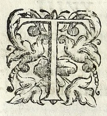 An illustration from Descrizione di Roma antica : formata nuouamente con le autorità di Bartolomeo Marliani, Onofrio Panuinio, Alessandro Donati, Faminio Nardini, e d'altri celebri scrittori antichi, & antiquarij moderni, accennati nella lettera al lettore. Nella quale si discorre degl' archi, aquedotti, basiliche, circhi, colonne, curie, fori, librerie, naumachie, obelischi, palazzi, pitture, ponti, statue, teatri, anfiteatri, tempij, terme, vie, & altri famosi edificij romani. Accresciuta di moltissime figure in rame, di varie medaglie, e di curiose notizie istoriche, 1697, leaf 462