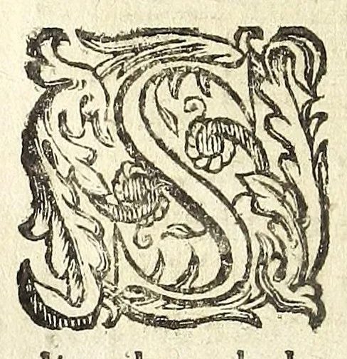 An illustration from Descrizione di Roma antica : formata nuouamente con le autorità di Bartolomeo Marliani, Onofrio Panuinio, Alessandro Donati, Faminio Nardini, e d'altri celebri scrittori antichi, & antiquarij moderni, accennati nella lettera al lettore. Nella quale si discorre degl' archi, aquedotti, basiliche, circhi, colonne, curie, fori, librerie, naumachie, obelischi, palazzi, pitture, ponti, statue, teatri, anfiteatri, tempij, terme, vie, & altri famosi edificij romani. Accresciuta di moltissime figure in rame, di varie medaglie, e di curiose notizie istoriche, 1697, leaf 562