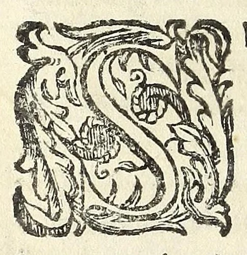 An illustration from Descrizione di Roma antica : formata nuouamente con le autorità di Bartolomeo Marliani, Onofrio Panuinio, Alessandro Donati, Faminio Nardini, e d'altri celebri scrittori antichi, & antiquarij moderni, accennati nella lettera al lettore. Nella quale si discorre degl' archi, aquedotti, basiliche, circhi, colonne, curie, fori, librerie, naumachie, obelischi, palazzi, pitture, ponti, statue, teatri, anfiteatri, tempij, terme, vie, & altri famosi edificij romani. Accresciuta di moltissime figure in rame, di varie medaglie, e di curiose notizie istoriche, 1697, leaf 592