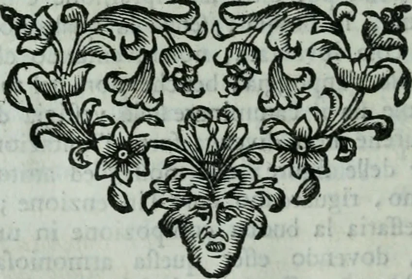 An illustration from Descrizione di tutte le pubbliche pitture della città di Venezia e isole circonvicine : o sia rinnovazione delle Ricche minere di Marco Boschini : colla aggiunta di tutte le opere, che uscirono dal 1674. fino al presente l733 : con un compendio delle vite, e maniere de' principali pittori, 1733, leaf 25