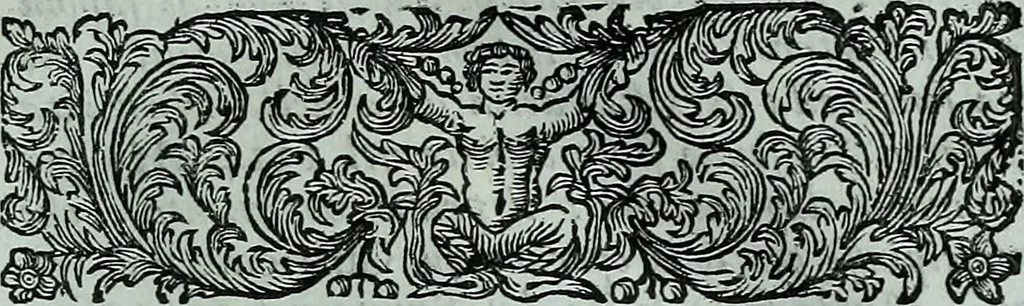 An illustration from Descrizione di tutte le pubbliche pitture della città di Venezia e isole circonvicine : o sia rinnovazione delle Ricche minere di Marco Boschini : colla aggiunta di tutte le opere, che uscirono dal 1674. fino al presente l733 : con un compendio delle vite, e maniere de' principali pittori, 1733, leaf 26