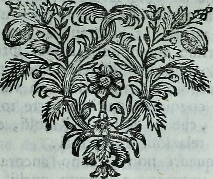 An illustration from Descrizione di tutte le pubbliche pitture della città di Venezia e isole circonvicine : o sia rinnovazione delle Ricche minere di Marco Boschini : colla aggiunta di tutte le opere, che uscirono dal 1674. fino al presente l733 : con un compendio delle vite, e maniere de' principali pittori, 1733, leaf 74