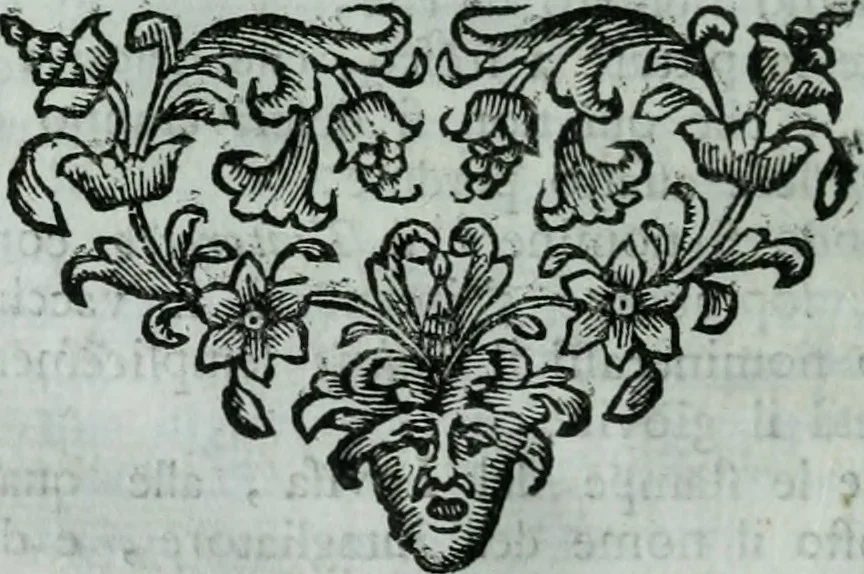 An illustration from Descrizione di tutte le pubbliche pitture della città di Venezia e isole circonvicine : o sia rinnovazione delle Ricche minere di Marco Boschini : colla aggiunta di tutte le opere, che uscirono dal 1674. fino al presente l733 : con un compendio delle vite, e maniere de' principali pittori, 1733, leaf 77