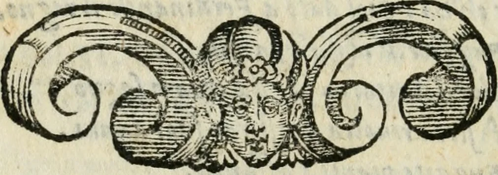 An illustration from Descrizzione de la felicissima entrata del serenis. d. Ferdinando de' Medici cardinale, gran duca di Toscana, nella città di Pisa : con tutti gli archi trionfali, portoni, apparati, imprese, e motti, con le lore interpretazioni, e significati : e con le composizioni, che ci so [sic] son fatte: con le feste, lumi, fuochi artifiziati, & altri segni d'allegrezze, 1588, leaf 129