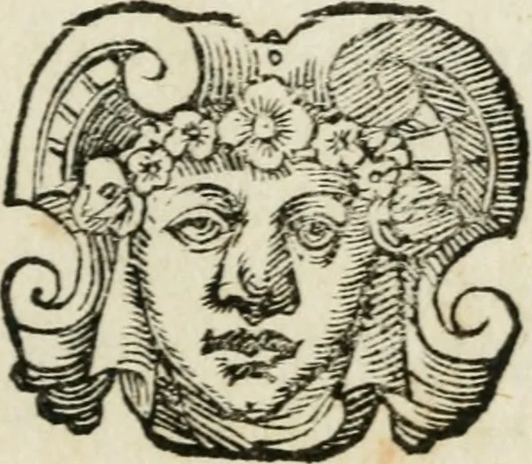 An illustration from Descrizzione de la felicissima entrata del serenis. d. Ferdinando de' Medici cardinale, gran duca di Toscana, nella città di Pisa : con tutti gli archi trionfali, portoni, apparati, imprese, e motti, con le lore interpretazioni, e significati : e con le composizioni, che ci so [sic] son fatte: con le feste, lumi, fuochi artifiziati, & altri segni d'allegrezze, 1588, leaf 130