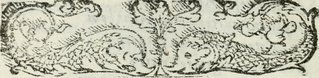 An illustration from Descrizzione de la felicissima entrata del serenis. d. Ferdinando de' Medici cardinale, gran duca di Toscana, nella città di Pisa : con tutti gli archi trionfali, portoni, apparati, imprese, e motti, con le lore interpretazioni, e significati : e con le composizioni, che ci so [sic] son fatte: con le feste, lumi, fuochi artifiziati, & altri segni d'allegrezze, 1588, leaf 143