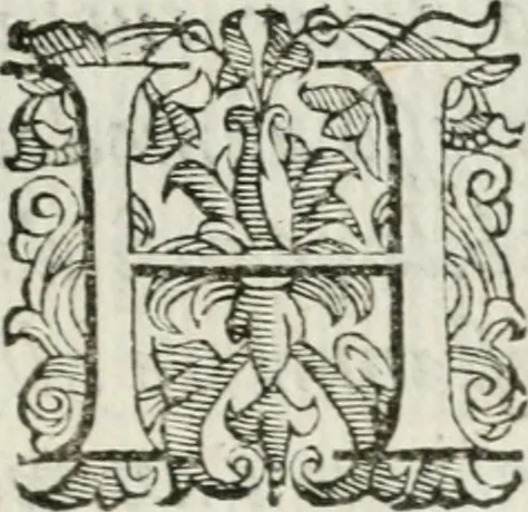 An illustration from Descrizzione dell'entrata dell'illustriss. e reuerendiss. monsig. Ascanio Piccolomini alla possession del suo arciuescouado in Siena, il dì xxj. di nouembre 1589, 1590, leaf 6