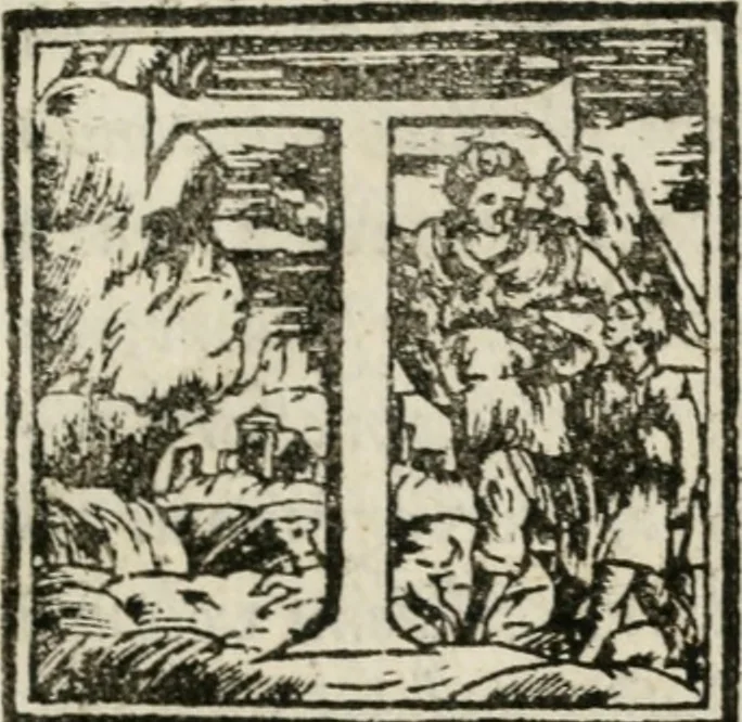 An illustration from Descrizzione dell'entrata dell'illustriss. e reuerendiss. monsig. Ascanio Piccolomini alla possession del suo arciuescouado in Siena, il dì xxj. di nouembre 1589, 1590, leaf 8